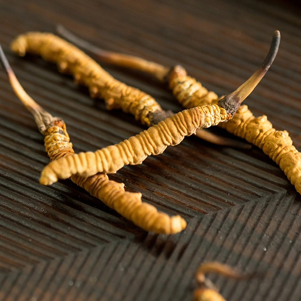 Đông trùng hạ thảo