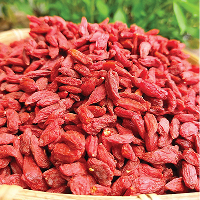 Kỷ tử
