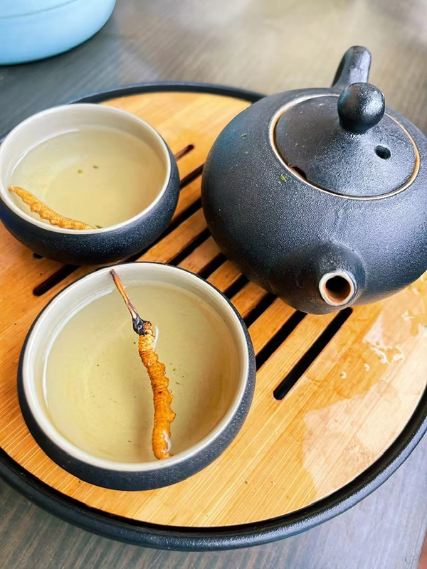 Trà đông trùng cao cấp