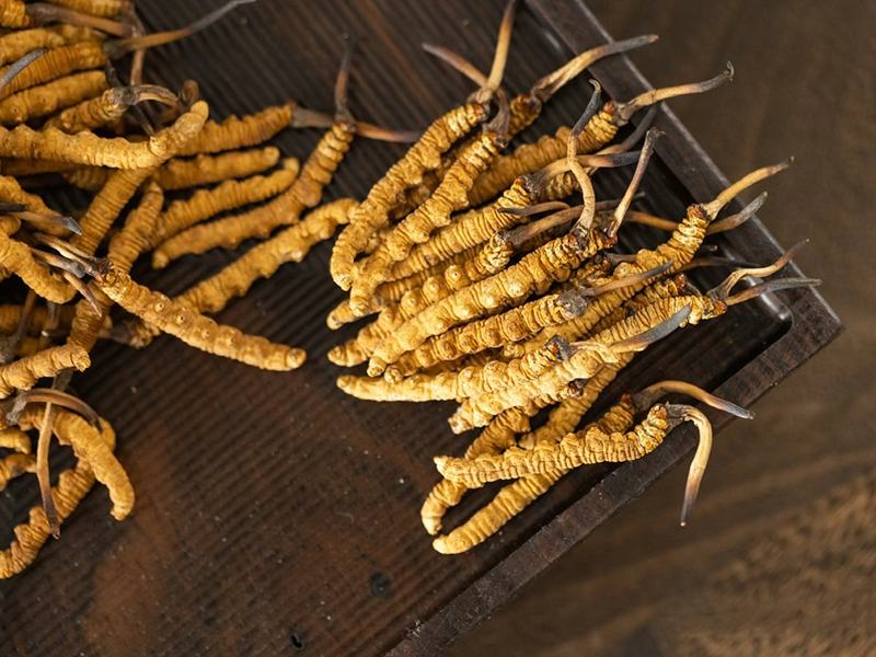 Đông trùng hạ thảo size 25-29