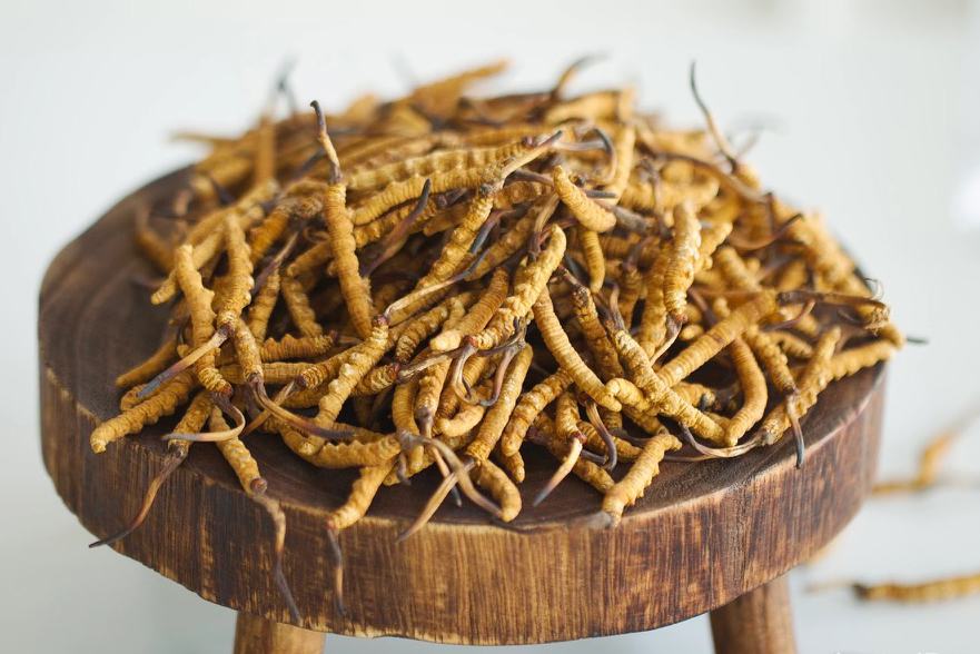 Đông trùng hạ thảo size 50-60